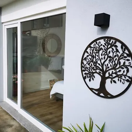 Casa Dragoeiro Parede