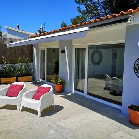 Casa Dragoeiro * Parede